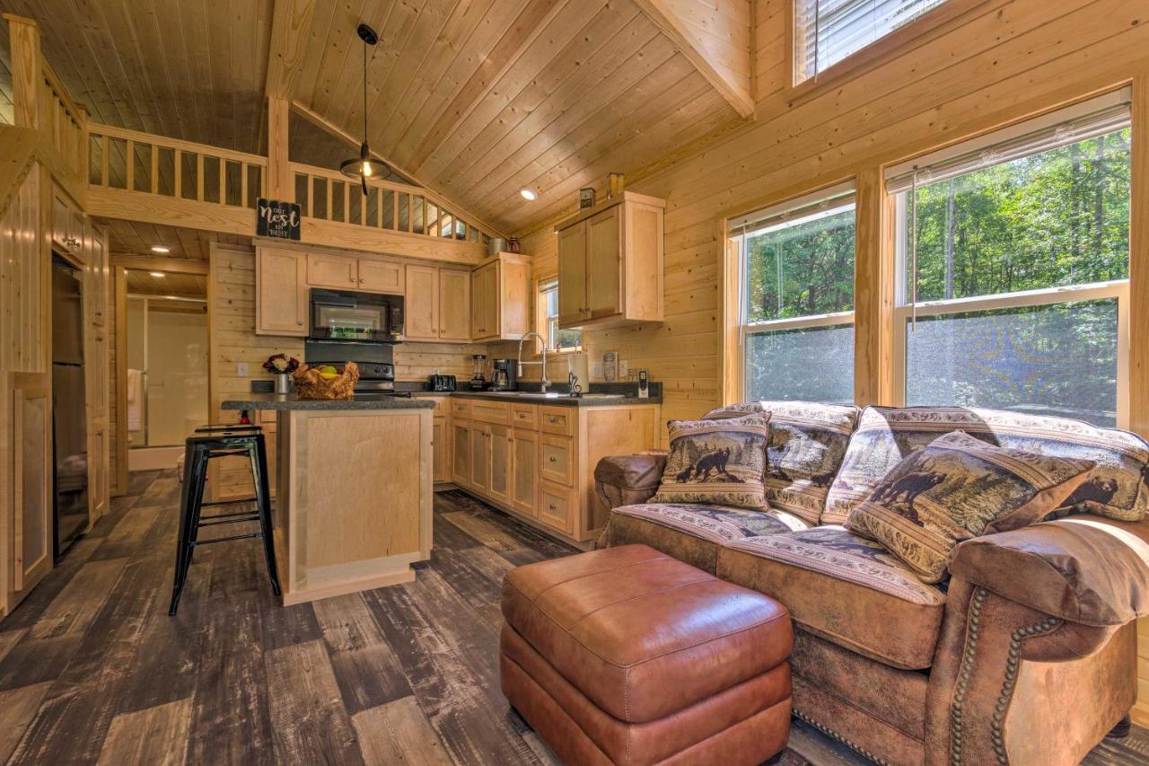 Quaint Mtn Cabin Tiny Living Near Big Adventure Brevard Exterior foto